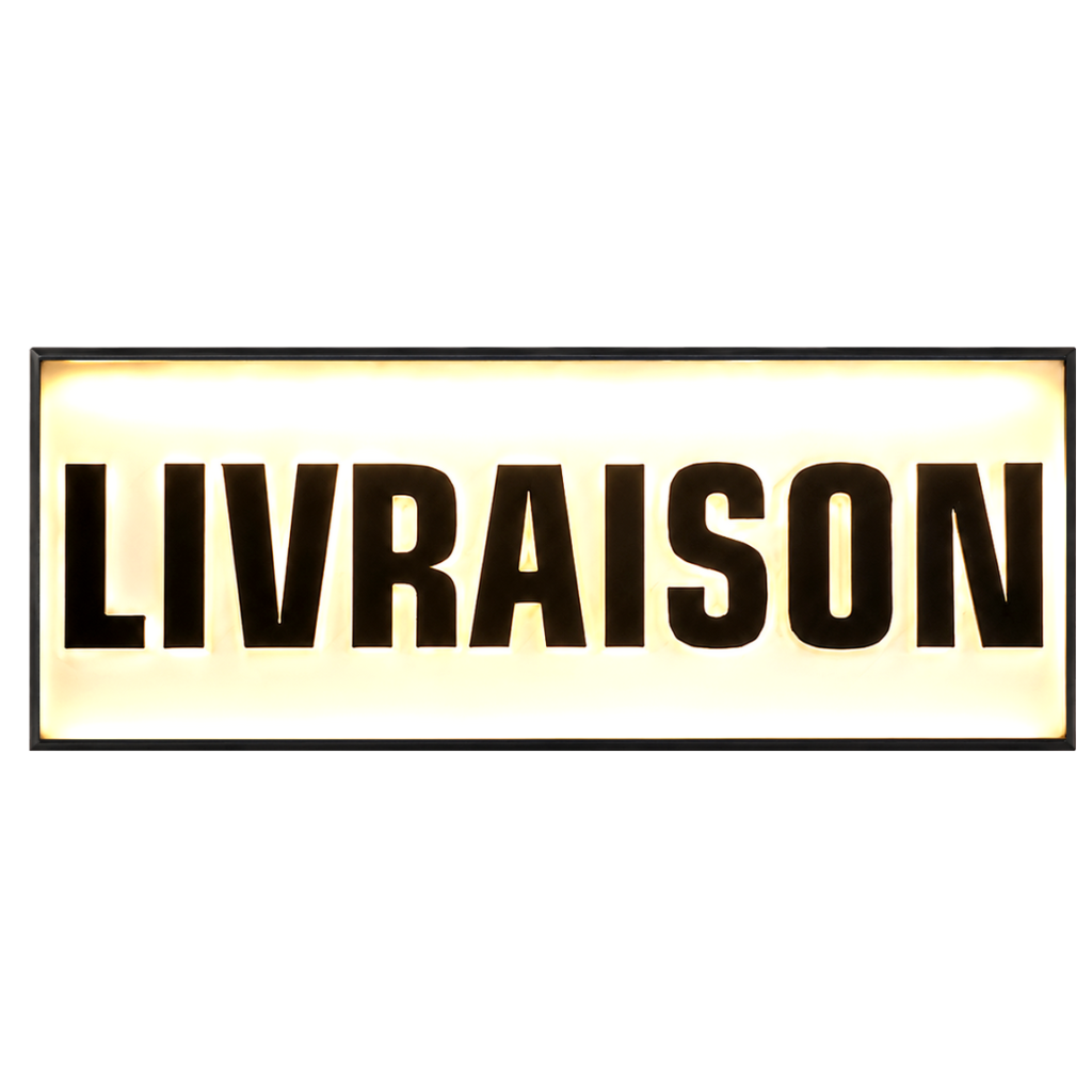 Pare-soleil rétroéclairé à LED "LIVRAISON"