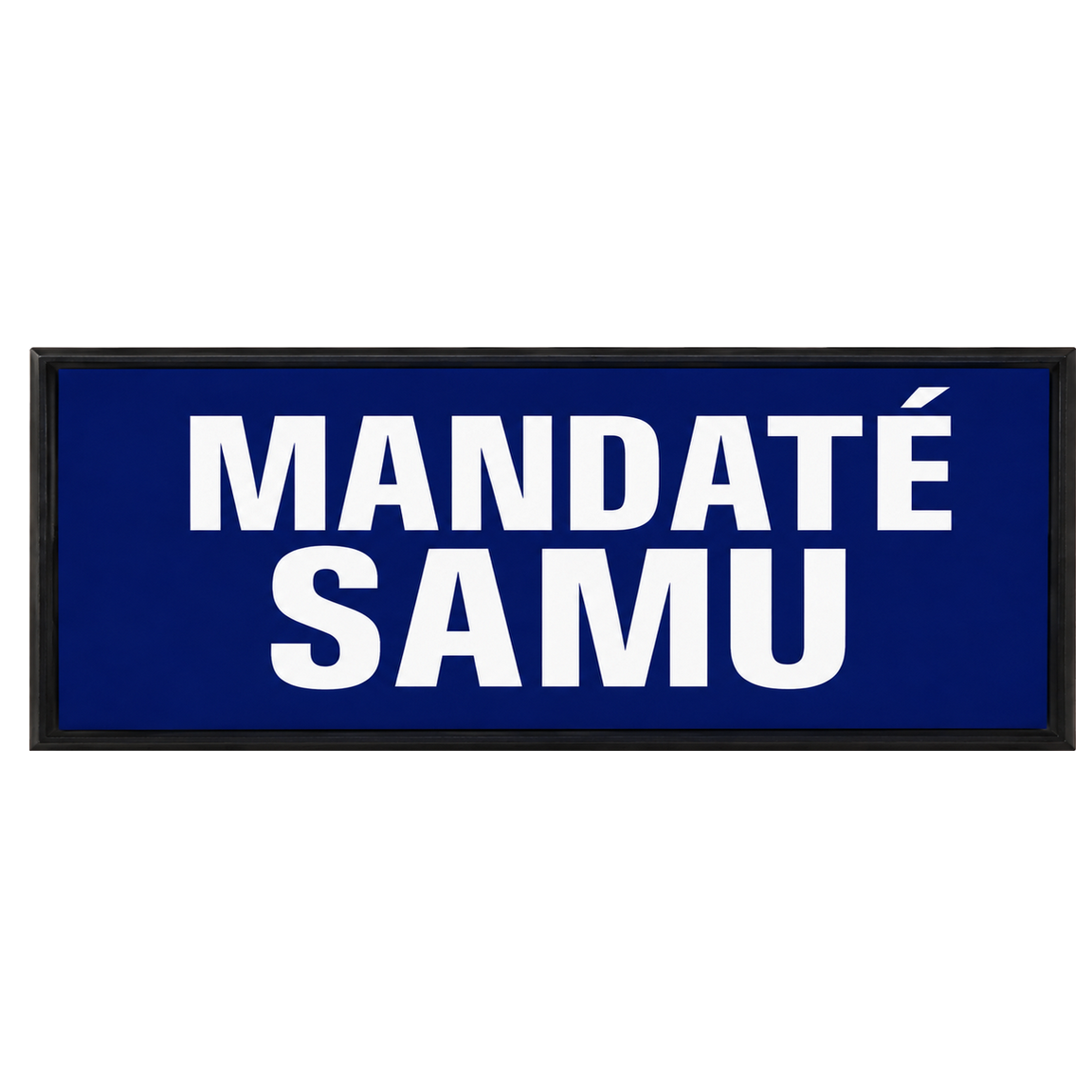 Pare-soleil rétroéclairé à LED "MANDATÉ SAMU" – Image 2