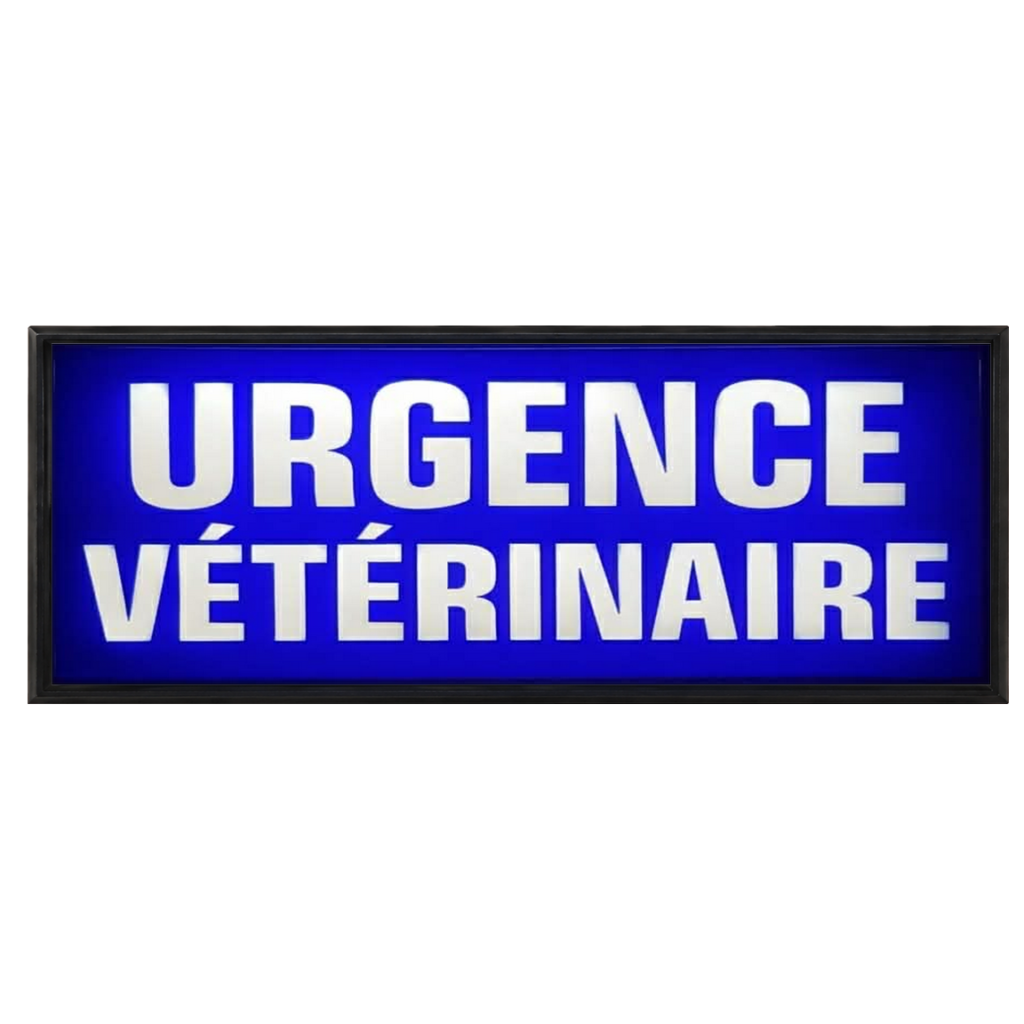 Pare Soleil Lumineux LED Urgence Vétérinaire de Nuit