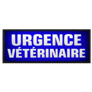 Pare Soleil Lumineux LED Urgence Vétérinaire de Nuit