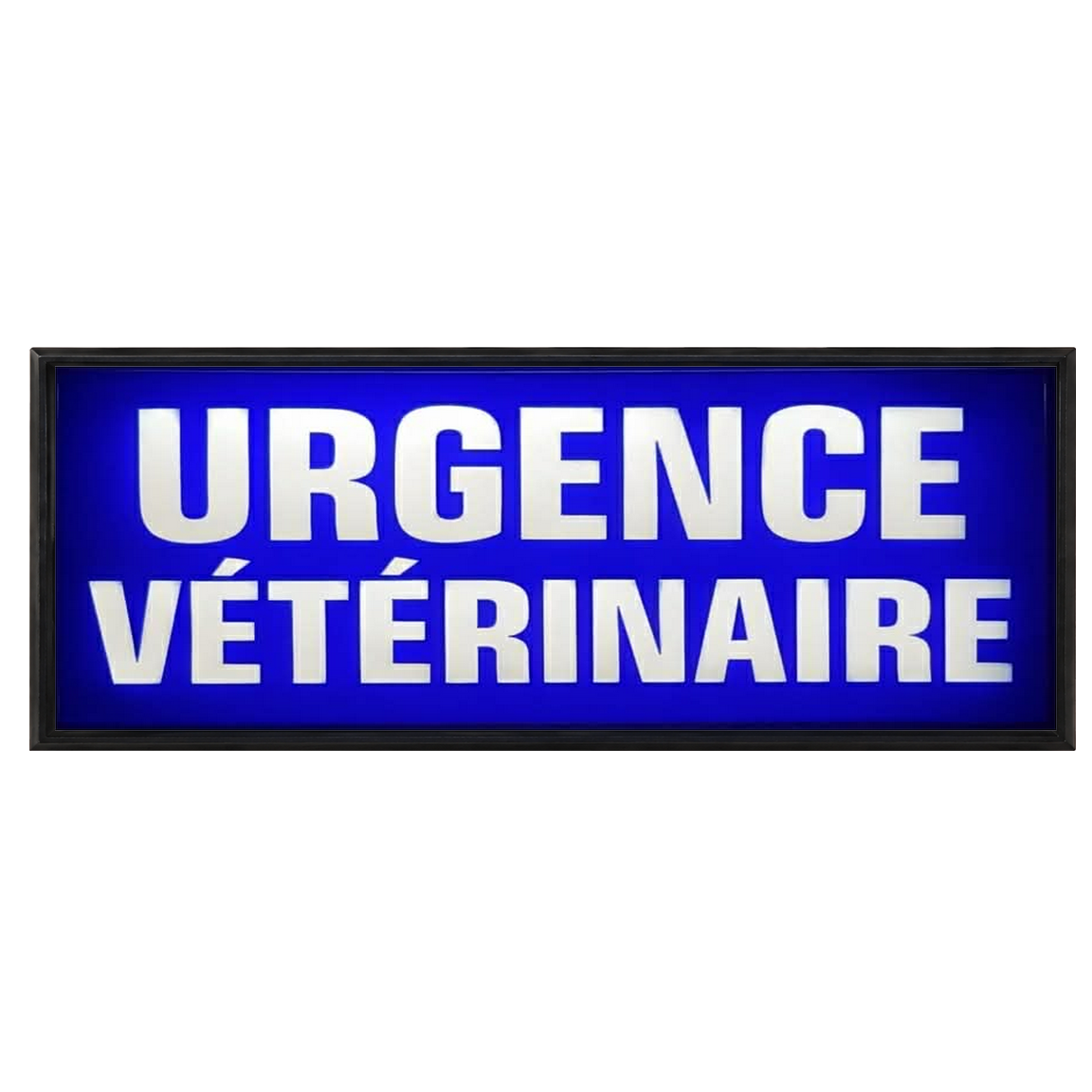 Pare Soleil Lumineux LED Urgence Vétérinaire de Nuit