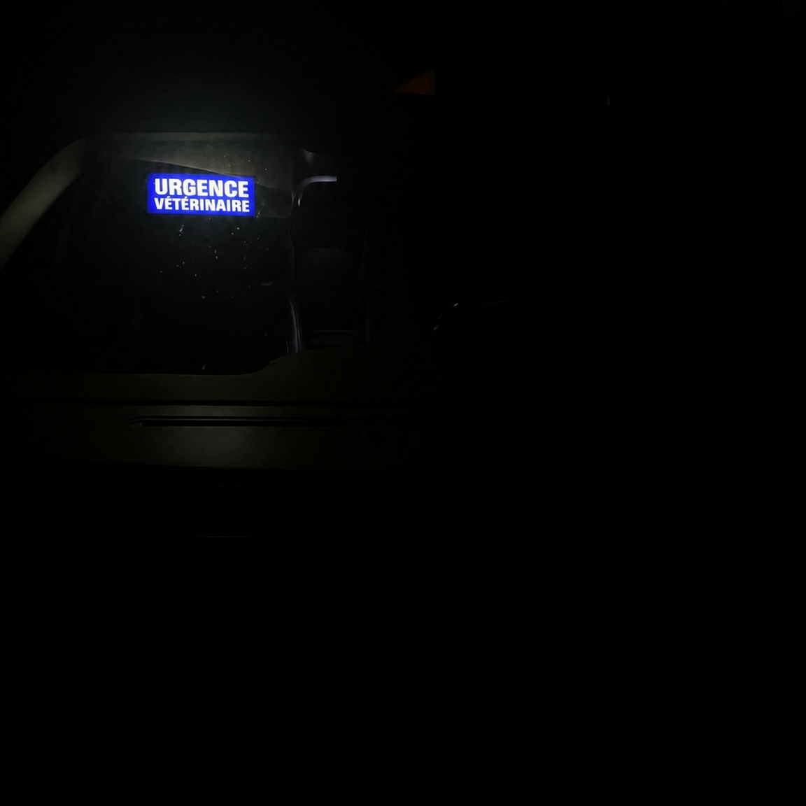 Pare Soleil Lumineux LED Urgence Vétérinaire inside