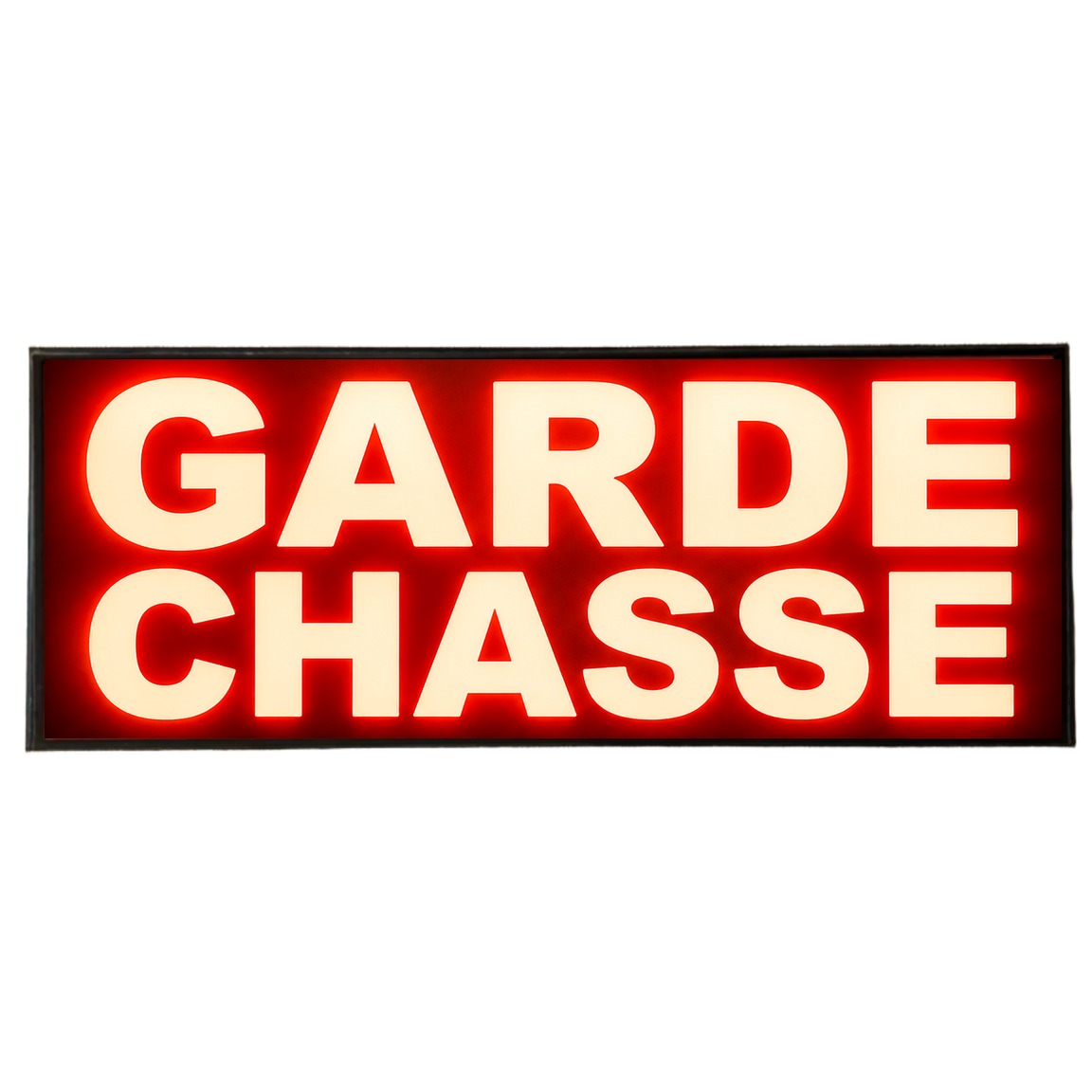 Pare Soleil Lumineux LED Garde Chasse de nuit