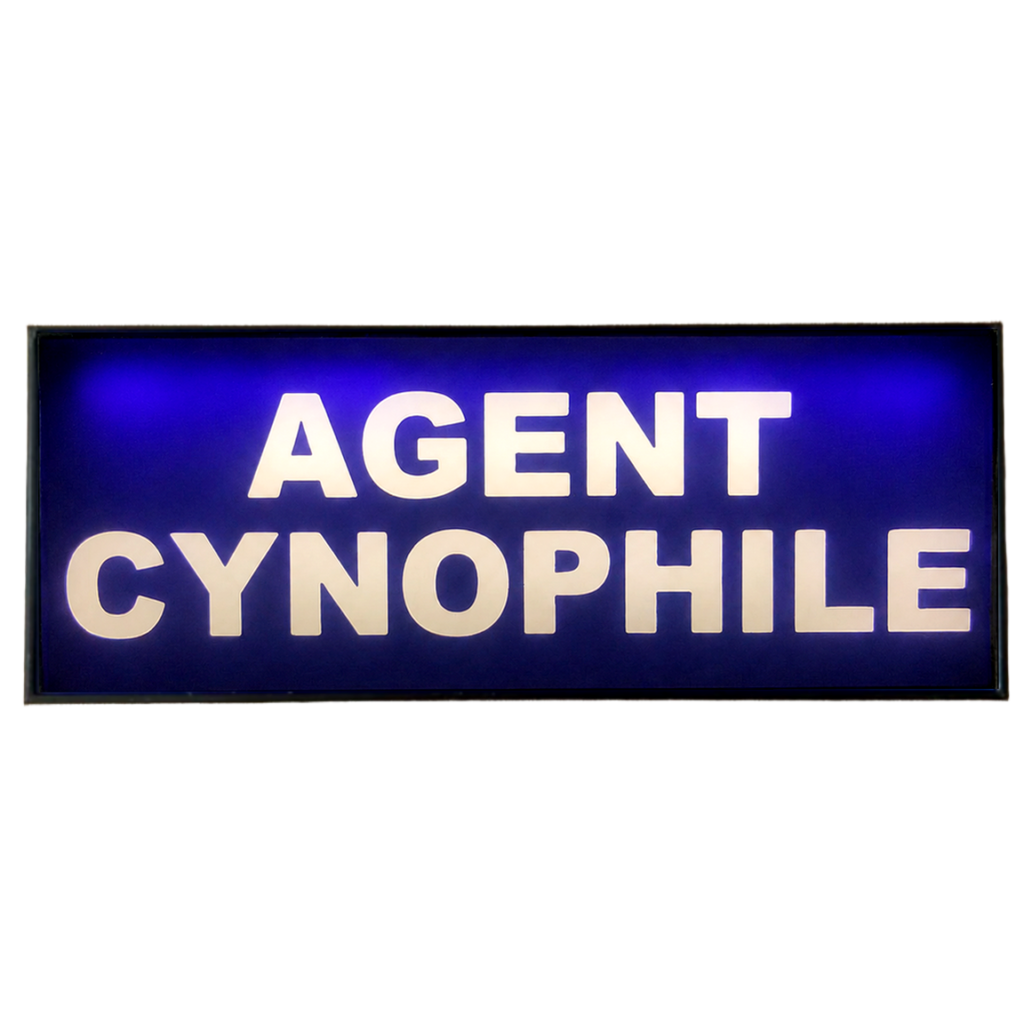 Pare Soleil Lumineux LED Agent Cynophile de nuit