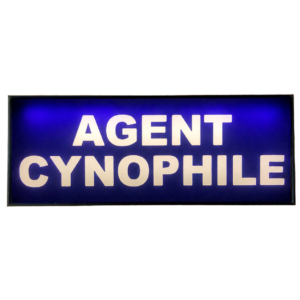 Pare Soleil Lumineux LED Agent Cynophile de nuit