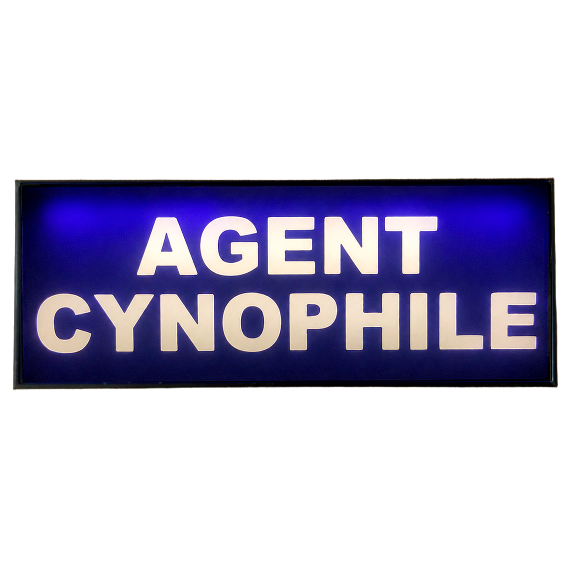 Pare Soleil Lumineux LED Agent Cynophile de nuit