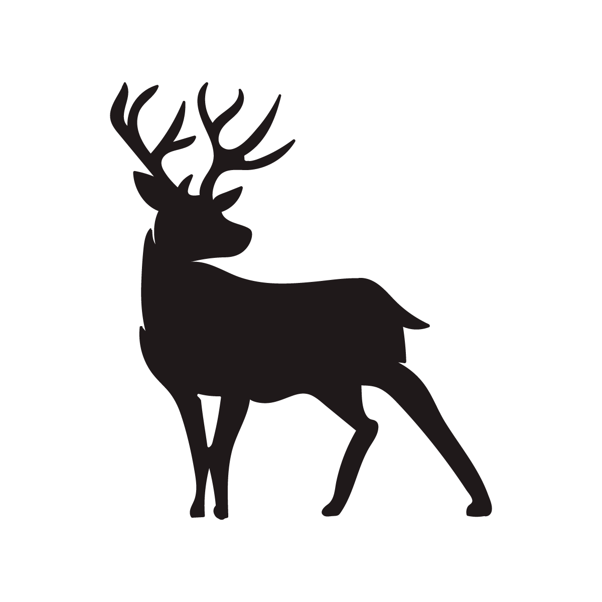 Cerf