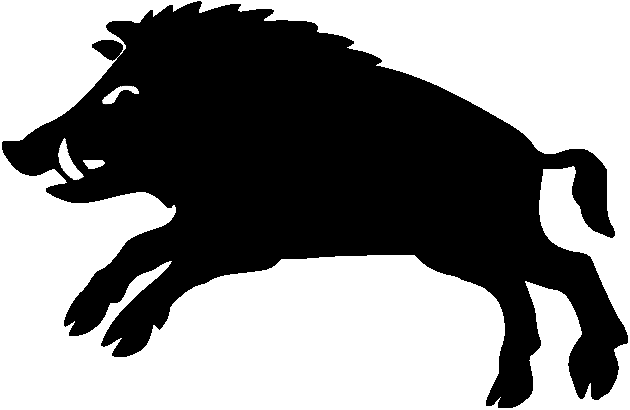 Sanglier