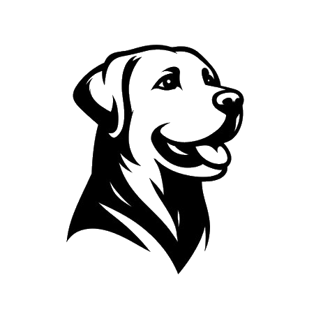 Labrador
