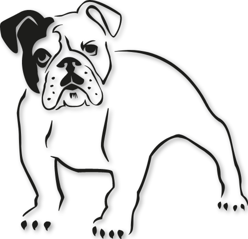 Bulldog
