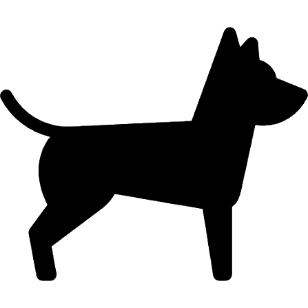 Picto chien