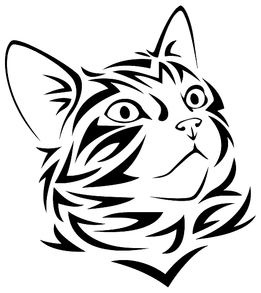 Tête de chat